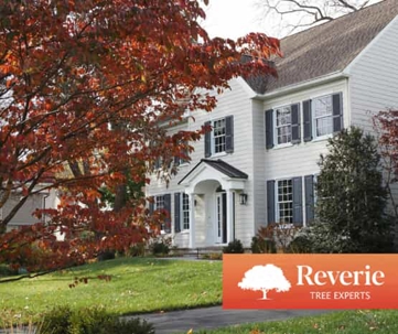A white house with dark shutters and a vibrant red-leafed tree frames the foreground.